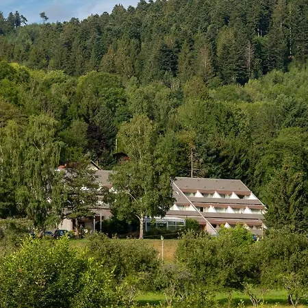Le Mongade * Plainfaing