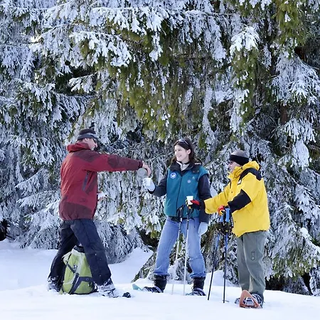 Holiday park Le Mongade Plainfaing