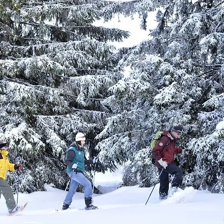 Le Mongade База отдыха *