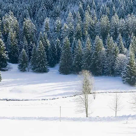 Le Mongade * Пленфэн