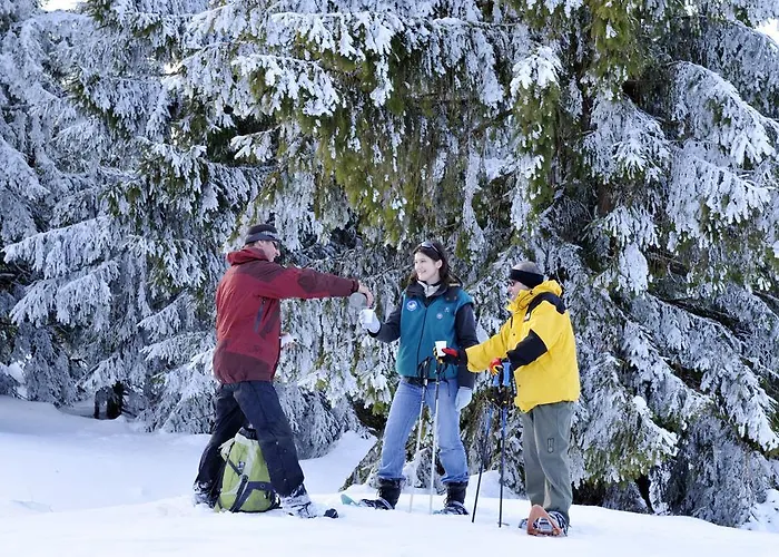 Kompleks wypoczynkowy Le Mongade Plainfaing