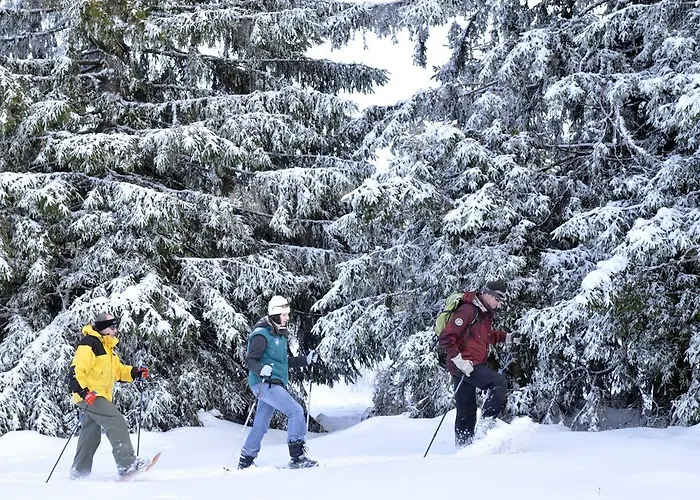Le Mongade Kompleks wypoczynkowy *