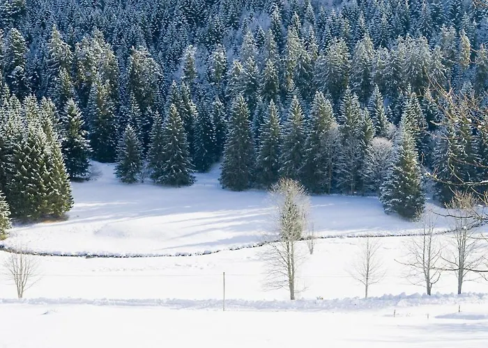 Le Mongade * Plainfaing