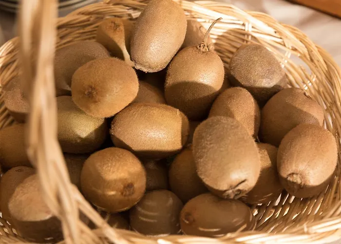 Kompleks wypoczynkowy Le Mongade Plainfaing